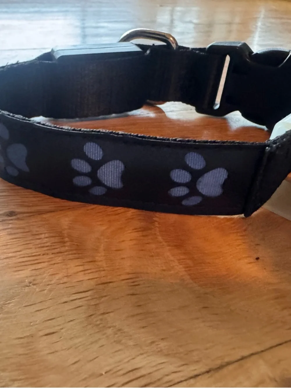 Rechargeable Light Up Black Paw-Print Adjustable Pet Collar with Buckle
